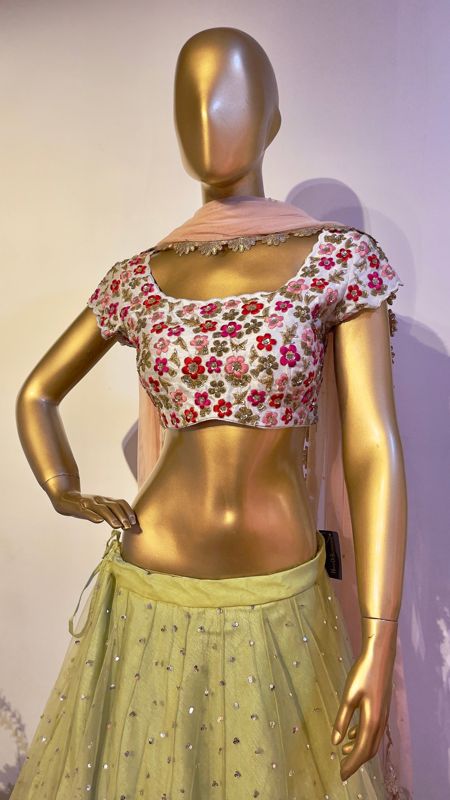 Multi color embroidered lehenga