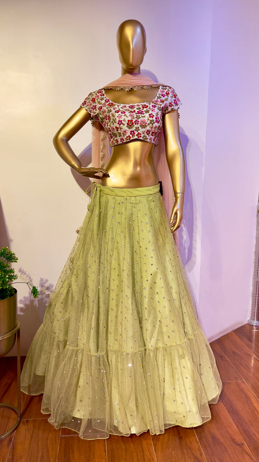 Multi color embroidered lehenga