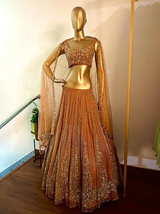 Rust cutdana embroidered lehenga